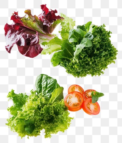 PNG Salads vegetables lettuce produce.