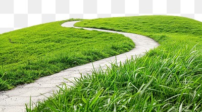 PNG Serene winding path through grass