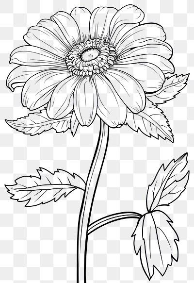 PNG Daisy flower art illustration.