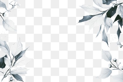 PNG Leaves leaf background elegant.