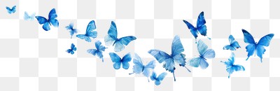 PNG Flying blue butterflies butterfly illustration migration.