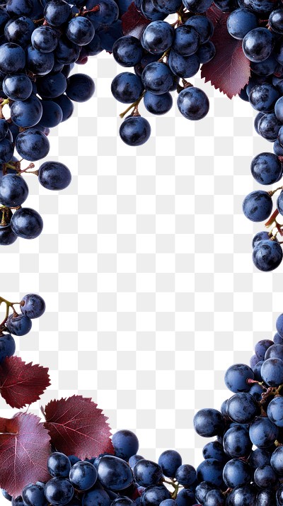 PNG Grapes background produce border.