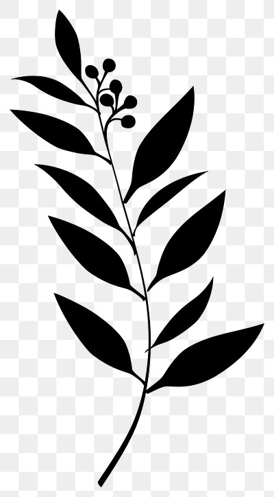 PNG Leaf art illustration minimalist.