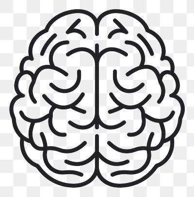 PNG Simple brain connection icon illustration white line.