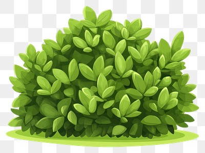 PNG Bushes illustration green plant.