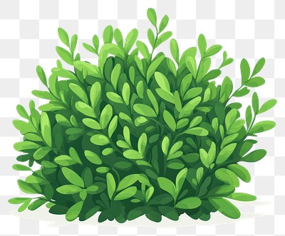 PNG Green bush illustration plant art.