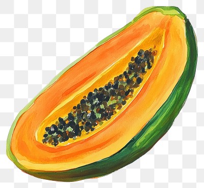 PNG Papaya illustration fruit food.