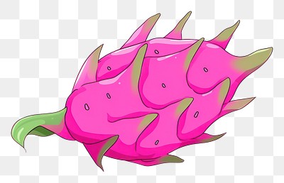 PNG Dragon fruit drawing purple art.