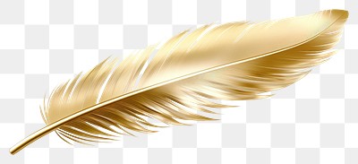 PNG Feather gold material white background lightweight accessories