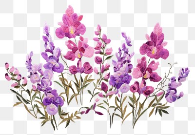 PNG Flowers lavender blossom pattern.