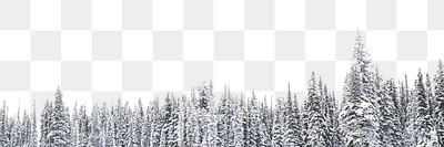 Winter forest trees png border, | Free PNG - rawpixel