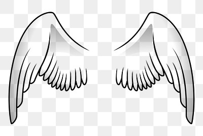 Angel wings png sticker, transparent | Free PNG - rawpixel