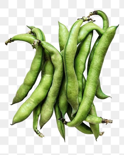 Yardlong bean vegetable png sticker, transparent background