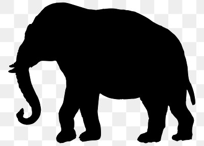 Elephant png illustration, transparent background. Free public domain CC0 image.