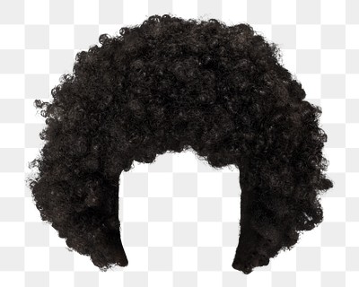 Afro png kinky hair, transparent | Premium PNG - rawpixel