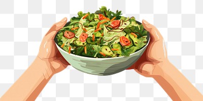 PNG Vegetable salad plate food. 