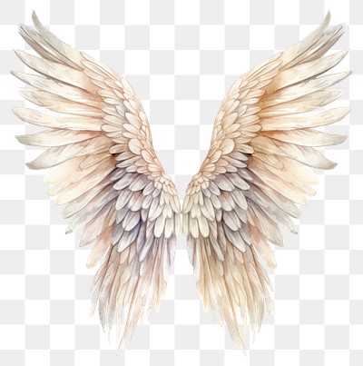 PNG Angel bird creativity archangel. | Premium PNG - rawpixel