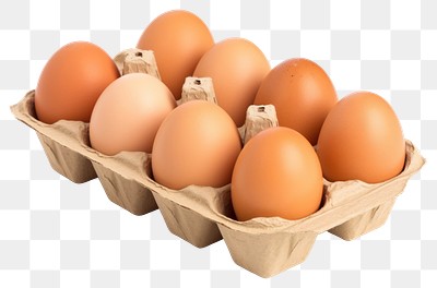 PNG Egg carton food white background. 