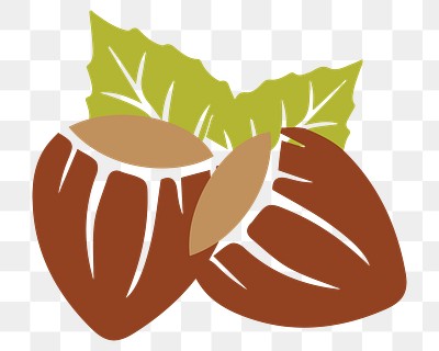 Chestnut png illustration, transparent background. Free public domain CC0 image.