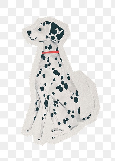 Dalmatian dog png sticker, paper | Premium PNG - rawpixel