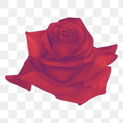 Red Rose On Transparent Background, Realistic Rose, Vector Format