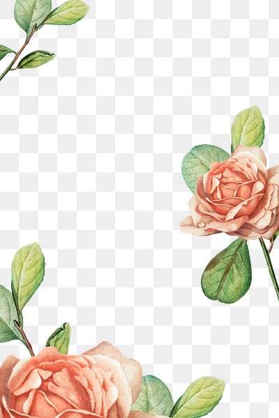 Aesthetic Rose Png Border, Transparent 