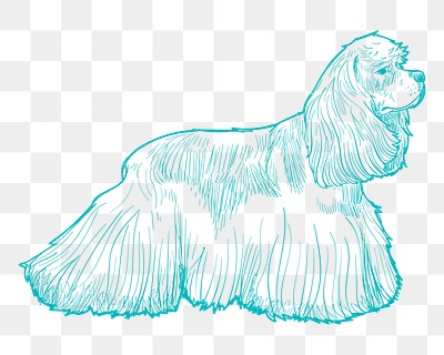 Png spaniel dog sketch illustration, transparent background