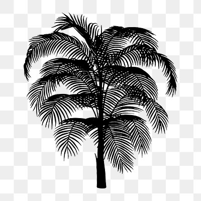 white palm tree silhouette png