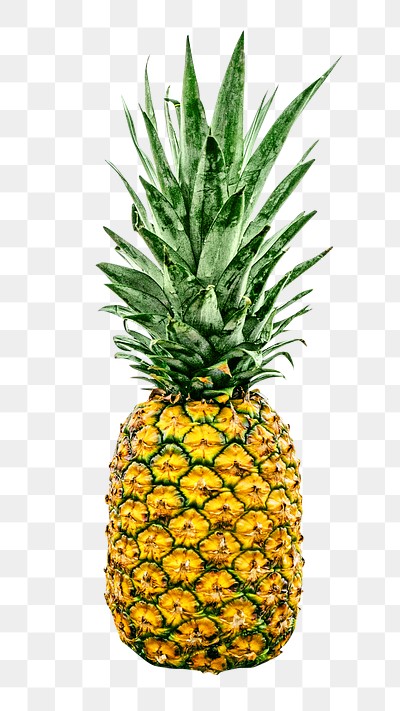 Fresh pineapple png, transparent background