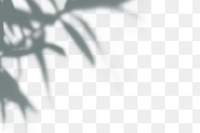 PNG Shadow of leaves, transparent background