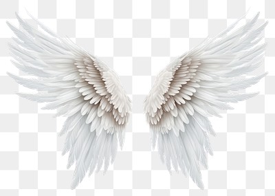 PNG White Angel Wings And | Premium PNG - rawpixel