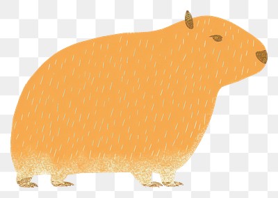 PNG Capybara animal mammal rodent. 