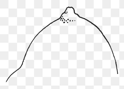 PNG Woman's breast line art, | Premium PNG - rawpixel