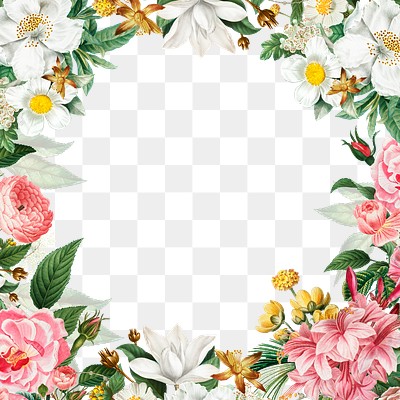 Botanical frame design transparent png | Premium PNG - rawpixel