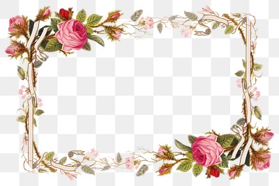 Vintage Pink Roses Border Frame | Premium Photo - Rawpixel