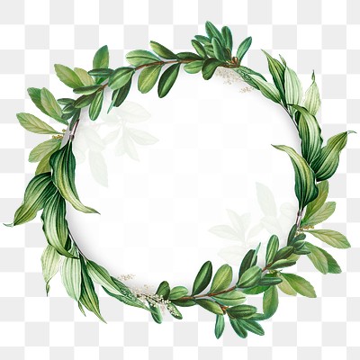 Tropical botanical wreath transparent png | Premium PNG Sticker - rawpixel