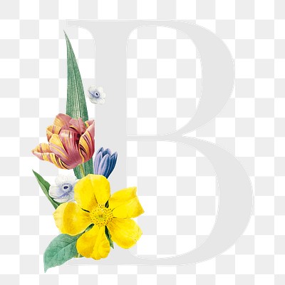 Flower decorated capital letter B typography