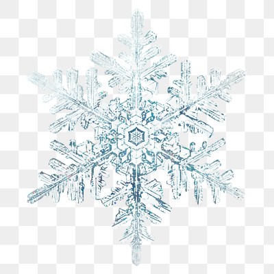 Winter snowflake png Christmas ornament | Premium PNG Sticker - rawpixel