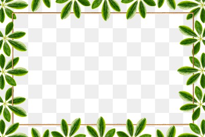 Green leaves with rectangle frame design element