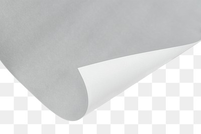 Blank white rolled chart paper on a gray background, free image by  rawpixel.com / Ake