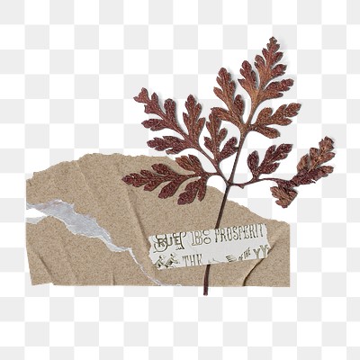 Brown leaf png clipart, paper | Premium PNG Sticker - rawpixel