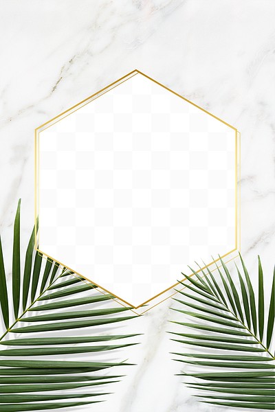 Palm leaves with a gold | Free PNG - rawpixel