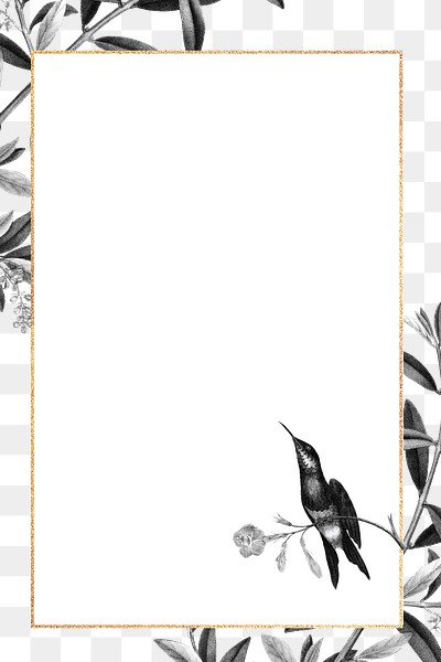 Hummingbird pattern frame png olive | Free PNG - rawpixel