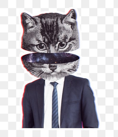 Cat wearing suit sticker transparent | Premium PNG Sticker - rawpixel