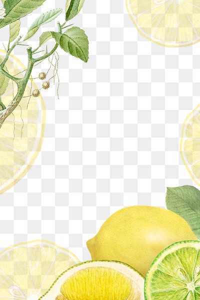 Hand drawn natural fresh lemon | Premium PNG - rawpixel