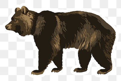 Vectorized grizzly bear sticker overlay | Free PNG Sticker - rawpixel