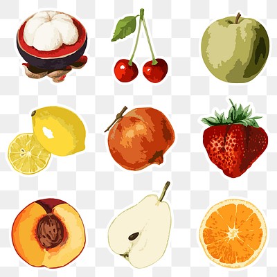 Vectorized tropical fruit sticker collection design elements 