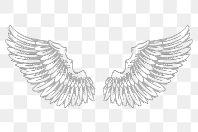 Gray wings outline sticker overlay | Premium PNG Sticker - rawpixel