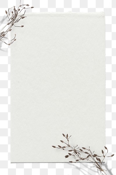 Dry flower twig png transparent | Premium PNG - rawpixel