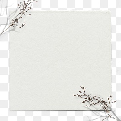 Dry flower twig png frame | Free PNG - rawpixel